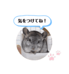 健造ファミリー ④（個別スタンプ：4）