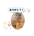 健造ファミリー ④（個別スタンプ：5）