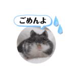 健造ファミリー ④（個別スタンプ：6）