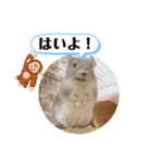 健造ファミリー ④（個別スタンプ：7）