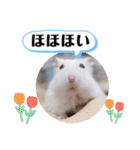 健造ファミリー ④（個別スタンプ：8）