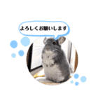 健造ファミリー ④（個別スタンプ：9）