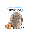 健造ファミリー ④（個別スタンプ：10）