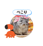 健造ファミリー ④（個別スタンプ：11）