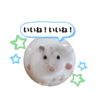 健造ファミリー ④（個別スタンプ：12）