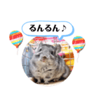 健造ファミリー ④（個別スタンプ：13）
