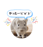 健造ファミリー ④（個別スタンプ：14）