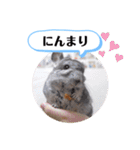 健造ファミリー ④（個別スタンプ：15）