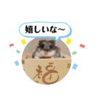 健造ファミリー ④（個別スタンプ：16）