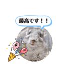 健造ファミリー ④（個別スタンプ：17）