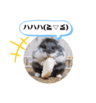 健造ファミリー ④（個別スタンプ：18）