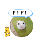 健造ファミリー ④（個別スタンプ：19）