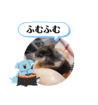 健造ファミリー ④（個別スタンプ：20）