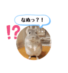 健造ファミリー ④（個別スタンプ：21）