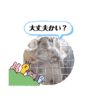 健造ファミリー ④（個別スタンプ：22）