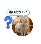 健造ファミリー ④（個別スタンプ：23）