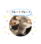 健造ファミリー ④（個別スタンプ：24）
