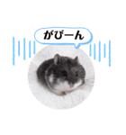 健造ファミリー ④（個別スタンプ：25）