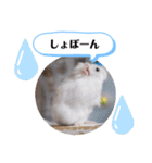 健造ファミリー ④（個別スタンプ：26）