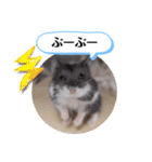 健造ファミリー ④（個別スタンプ：27）