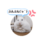 健造ファミリー ④（個別スタンプ：28）