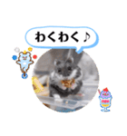 健造ファミリー ④（個別スタンプ：29）