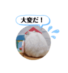 健造ファミリー ④（個別スタンプ：30）