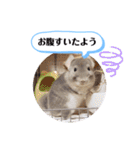 健造ファミリー ④（個別スタンプ：31）
