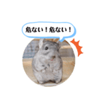 健造ファミリー ④（個別スタンプ：32）