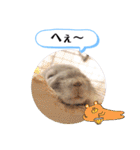 健造ファミリー ④（個別スタンプ：36）