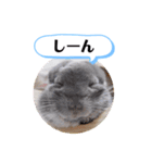 健造ファミリー ④（個別スタンプ：37）