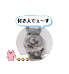 健造ファミリー ④（個別スタンプ：38）