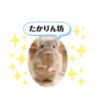 健造ファミリー ④（個別スタンプ：39）