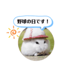 健造ファミリー ④（個別スタンプ：40）