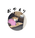 フルトさん（個別スタンプ：3）