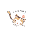 猫のスタンプ（夏ver.）（個別スタンプ：3）