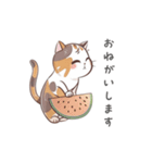 猫のスタンプ（夏ver.）（個別スタンプ：12）