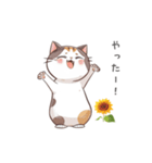 猫のスタンプ（夏ver.）（個別スタンプ：13）