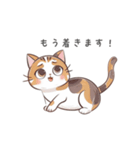 猫のスタンプ（夏ver.）（個別スタンプ：15）