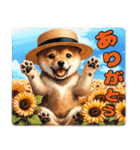 柴犬さんの夏休み（個別スタンプ：13）