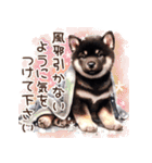 ずっと使える♡柴犬の大人の挨拶♡敬語（個別スタンプ：32）