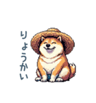 毎日使える夏の柴犬【夏・かわいい】（個別スタンプ：21）