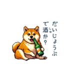 お酒であいさつ柴犬【酒クズ・おもしろい】（個別スタンプ：12）