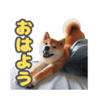 柴犬ベーシック 日常会話（個別スタンプ：2）