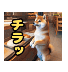 柴犬ベーシック 日常会話（個別スタンプ：8）