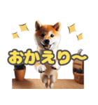 柴犬ベーシック 日常会話（個別スタンプ：9）