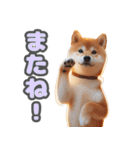 柴犬ベーシック 日常会話（個別スタンプ：23）