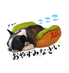 フレブルときどきトイプ（個別スタンプ：1）