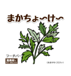 【沖縄＋標準語】島食材でちゃーがんじゅう（個別スタンプ：11）