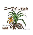 【沖縄＋標準語】島食材でちゃーがんじゅう（個別スタンプ：25）